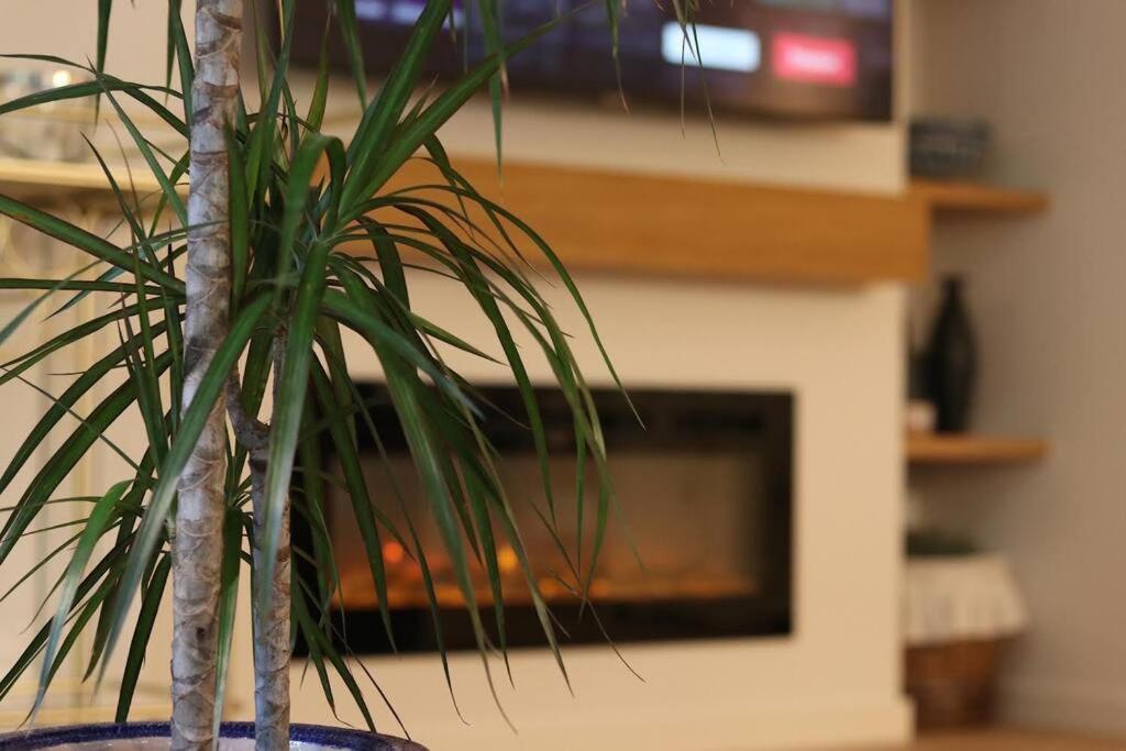 Lc Apartaments Voramar Benicàssim Kültér fotó